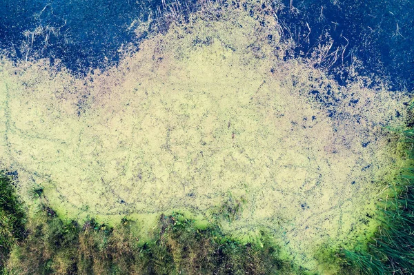 Natürlichen Abstrakten Hintergrund Feuchtgebiet Moorfläche — Stockfoto