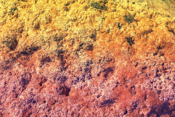 Fondo Natural Abstracto Orilla Rocosa Del Mar Color Degradado — Foto de Stock