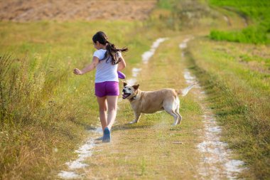 Labrador retriever köpek sahada yürüyen genç kızla. Köpek kıza baktığını