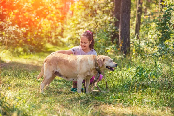 夏天在森林里抚摸拉布拉多猎犬狗的快乐少女的肖像 — 图库照片