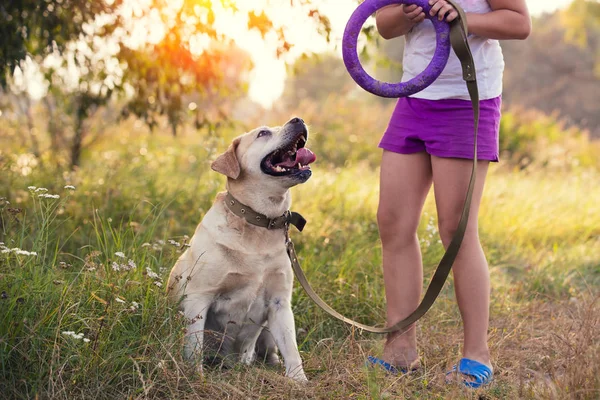 Mädchen Mit Labrador Retriever Hund Spielt Auf Dem Feld — Stockfoto