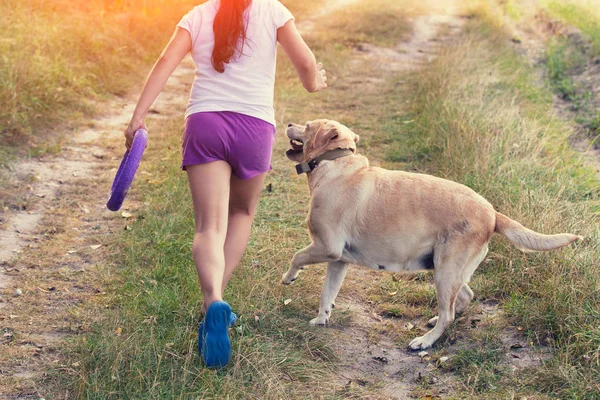 年轻的女孩与拉布拉多猎犬狗走在田野上 狗看着女孩 — 图库照片