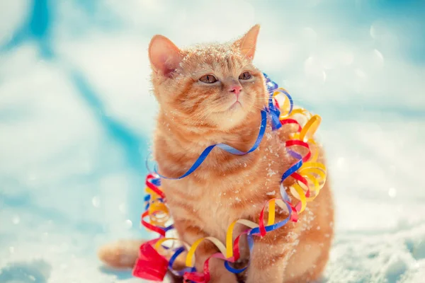 Red Kitten Wrapped Serpentine Sitting Outdoors Snow Winter — Stock Photo, Image