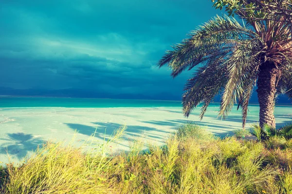 Paisagem Tropical Com Céu Dramático Costa Mar Morto Palmeiras Praia — Fotografia de Stock