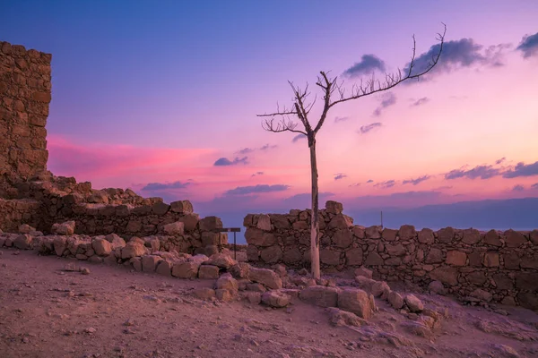 Ruínas Palácio Rei Herodes Início Manhã Masada Israel — Fotografia de Stock