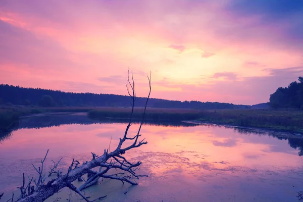 Magische Zonsopgang Boven Het Meer Een Mistige Ochtend Een Landelijke — Stockfoto