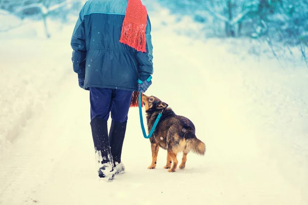 冬に雪国の道路の上を歩いてひもにつないで犬を持つ男 男の身に着けている従来のロシアの北冬靴のフェルト ブーツ — ストック写真