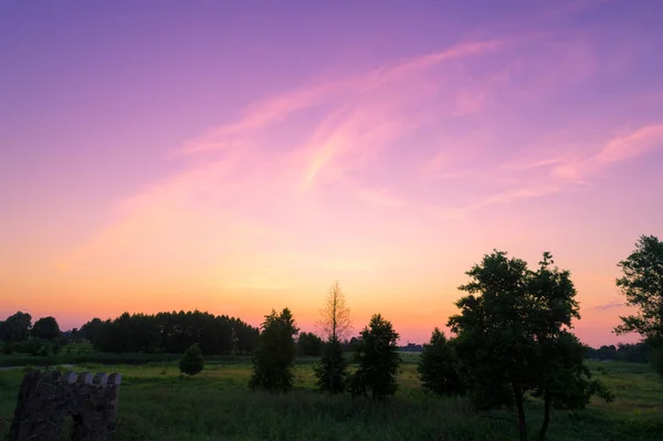 Pôr Sol Sobre Campo Com Árvores — Fotografia de Stock