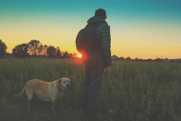 Man Med Labrador Retriever Hund Går Fältet Hösten Mannen Innehar — Stockfoto