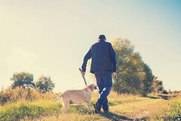 Uomo Con Cane Labrador Retriever Cammina Lungo Una Strada Rurale — Foto Stock