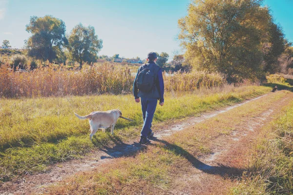 Bir Adam Bir Labrador Retriever Köpek Ile Kırsal Bir Yolda — Stok fotoğraf