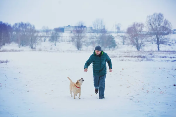 Счастливый Человек Собакой Лабрадором Бегущей Снежному Полю Зимой — стоковое фото