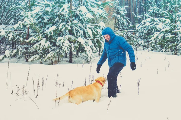 Homem Com Cão Labrador Retriever Caminha Floresta Inverno — Fotografia de Stock