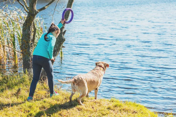 年轻的女孩带着狗在湖岸 女孩手里拿着一个戒指训练 然后把它扔到水里 — 图库照片