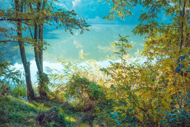 Sonbaharda ormanıyla çevrili güzel dağ Gölü