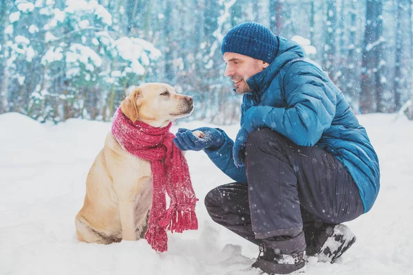 인간과 친구입니다 겨울에는 사람에 래브라도 리트리버 강아지 — 스톡 사진