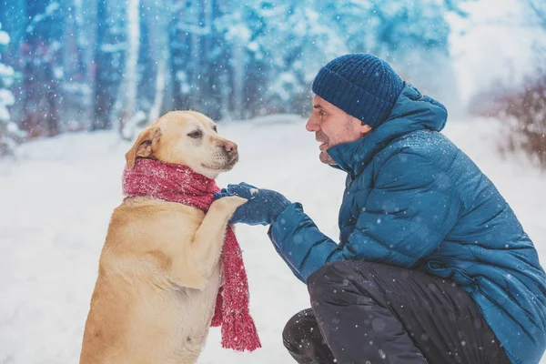 Man Dog Best Friends Man Dog Sitting Snowy Forest Winter — Stock Photo, Image