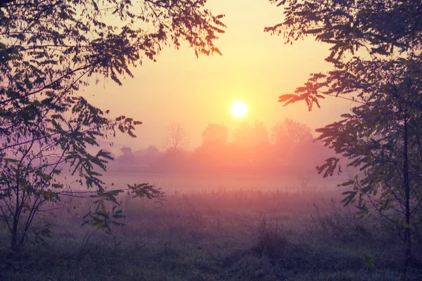 Soluppgång Över Fältet Den Dimmiga Tidiga Morgonen — Stockfoto