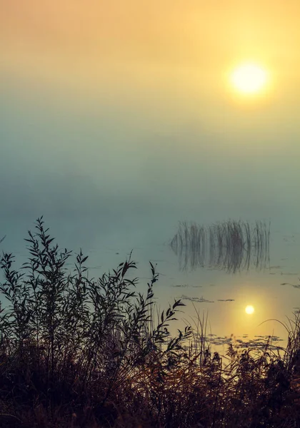 Ранним Утром Рассвет Над Озером Туманное Утро Сельский Пейзаж Дикая — стоковое фото