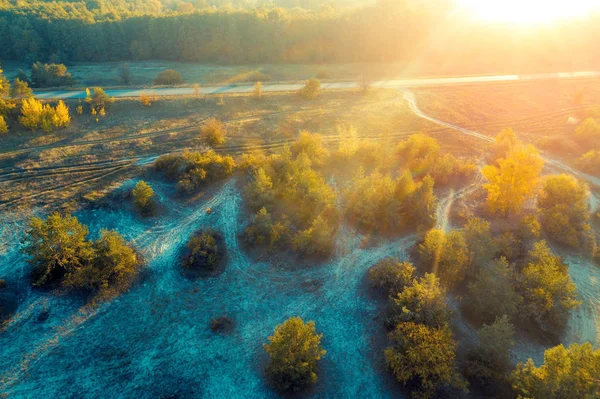 Дорога Вздовж Лісу Заході Сонця Прекрасний Вид Повітря Лісі Різнокольоровими — стокове фото