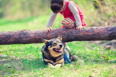 Ormanda köpek oynamaktan mutlu küçük kız.