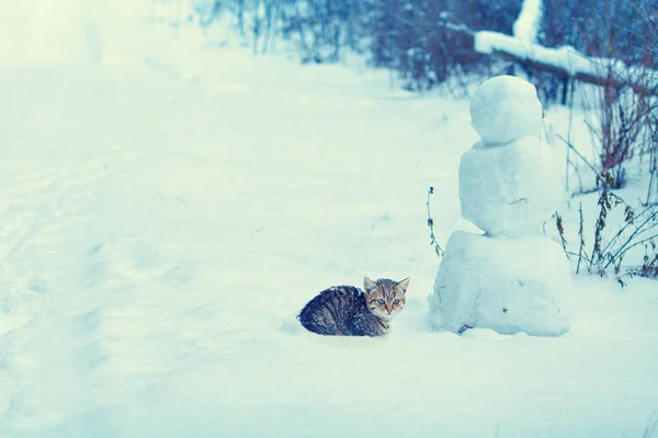 Сельский Снежный Зимний Пейзаж Котёнок Сидит Рядом Снеговиком — стоковое фото