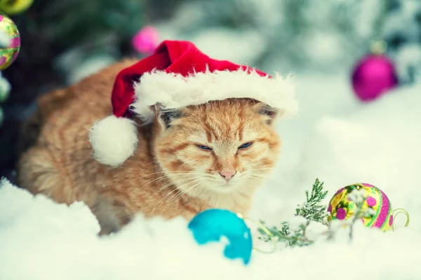 冬の屋外のサンタ クロースの帽子をかぶって生姜猫の肖像画 クリスマスのコンセプトです 屋外の雪の中に座っている猫 — ストック写真