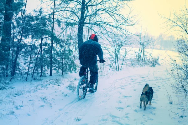 Man Kör Cykel Snörik Vinter Hund Som Kör Närheten — Stockfoto