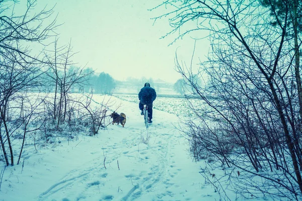 Man Ride Bicycle Snowy Winter Dog Running Nearby — Stock Photo, Image