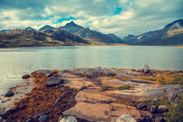 Côte Rocheuse Avec Ciel Nuageux Pleine Nature Belle Nature Norvège — Photo