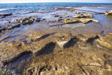 Kayalık sahil. Rosh Hanikra deniz rezerv. İsrail