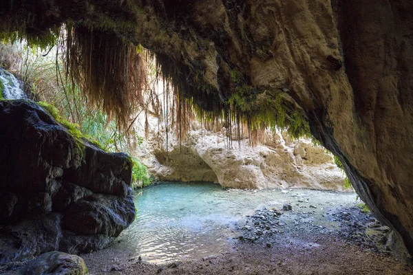 Oaza Pustyni Rezerwat Przyrody Ein Gedi Izrael — Zdjęcie stockowe