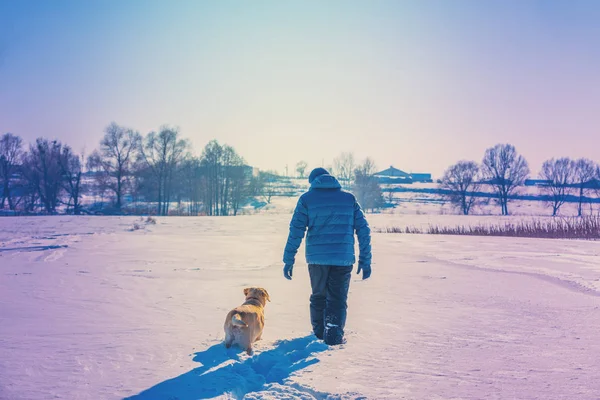 Happy Man Labrador Retriever Dog Walks Snowy Field Winter Deep — Stock Photo, Image