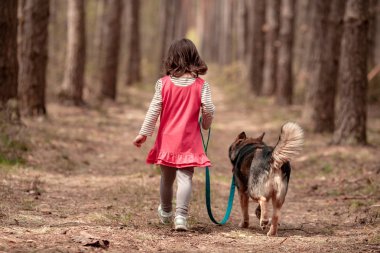 Küçük bir kız ile ormanda köpek yürüyor. Arkadan Görünüş