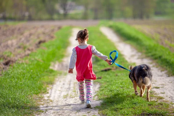 小女孩带着狗走在农村的路上 回到相机 — 图库照片