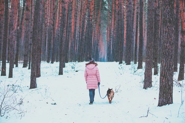 Young woman with the dog walks in the snowy pine forest in winter