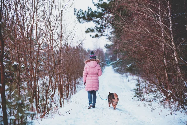 Young woman with the dog walks in the snowy pine forest in winter