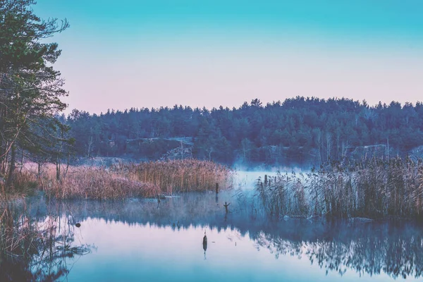 Ранним Туманным Утром Рассвет Над Озером Каменистым Берегом — стоковое фото