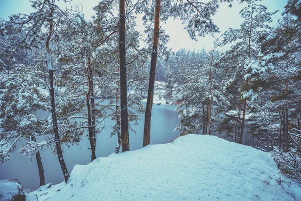 Lindo Lago Rochoso Com Pinheiros Lago Inverno Nevão — Fotografia de Stock