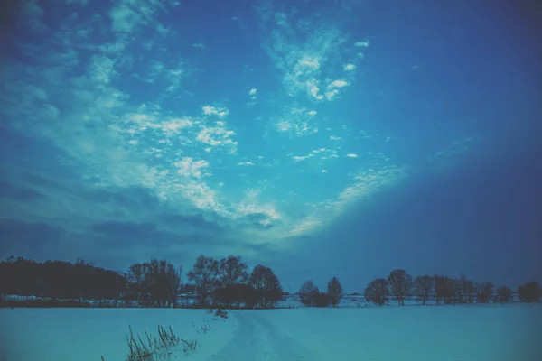 Paisajes Nevados Invierno Fila Árboles Campo Nevado Por Noche — Foto de Stock