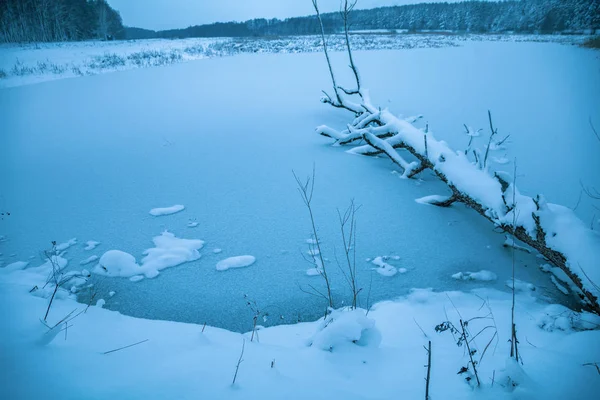 Beautiful Rural Winter Landscape Fallen Tree Frozen Lake — Stock Photo, Image