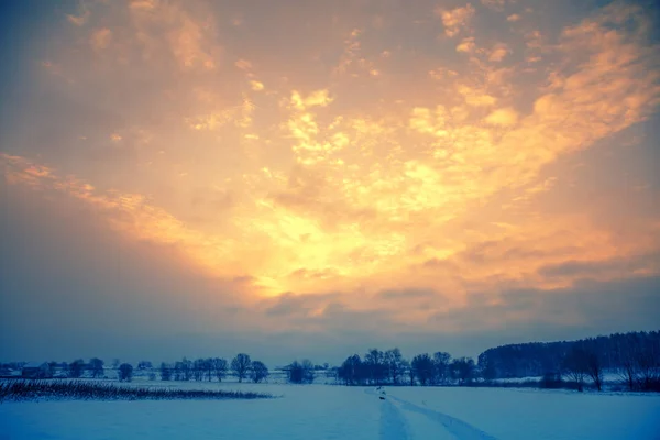 Pôr Sol Sobre Campo Paisagens Neve Inverno Chamejando Céu Por — Fotografia de Stock