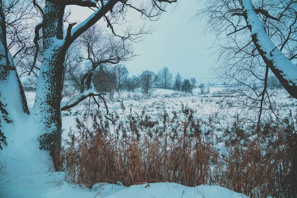 美しい農村冬景色 凍った小川は深い雪で覆われています — ストック写真