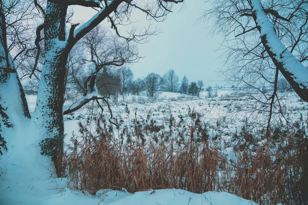 Beau Paysage Rural Hiver Ruisseau Gelé Couvert Neige Épaisse — Photo