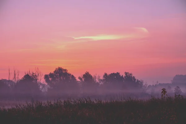 Сільський Пейзаж Рано Вранці Час Перед Сходом Сонця Полі — стокове фото