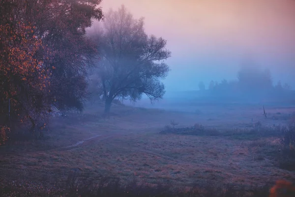 早朝の農村風景です フィールドで日の出の前に の時間 — ストック写真