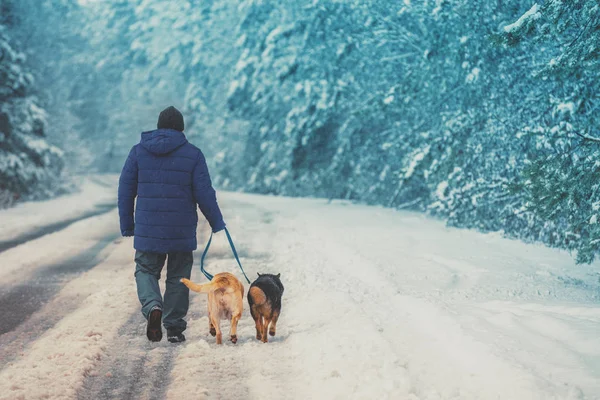 Homme Avec Deux Chiens Marchant Sur Route Campagne Enneigée Hiver — Photo