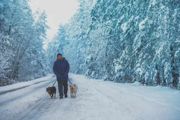 Homem Com Dois Cães Andando Estrada País Nevado Inverno — Fotografia de Stock