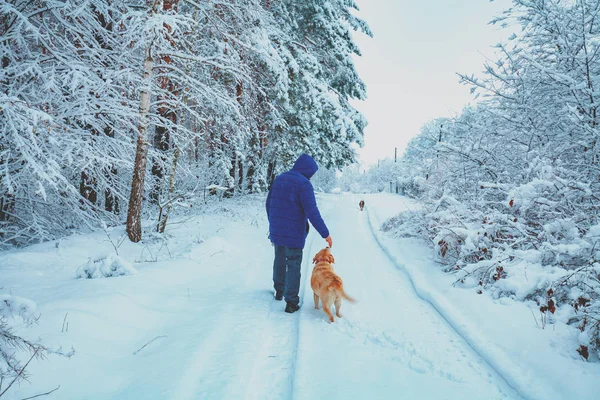 带着拉布拉多猎狗的人走在雪乡路上 — 图库照片