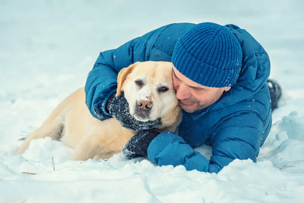 冬の雪の中で横になっているラブラドル レトリーバー犬犬と幸せな男 犬を抱いて男 — ストック写真